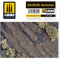 Airfield Autumn